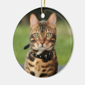 Bengalisch Tiger Cat Keramik Ornament (Links)