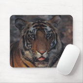 Bengalisch Tiger Cub Mousepad (Mit Mouse)