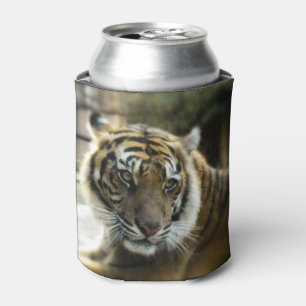 Bengalisch Tiger Dosenkühler