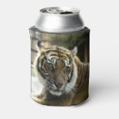 Bengalisch Tiger Dosenkühler (Kanne Rückseite)