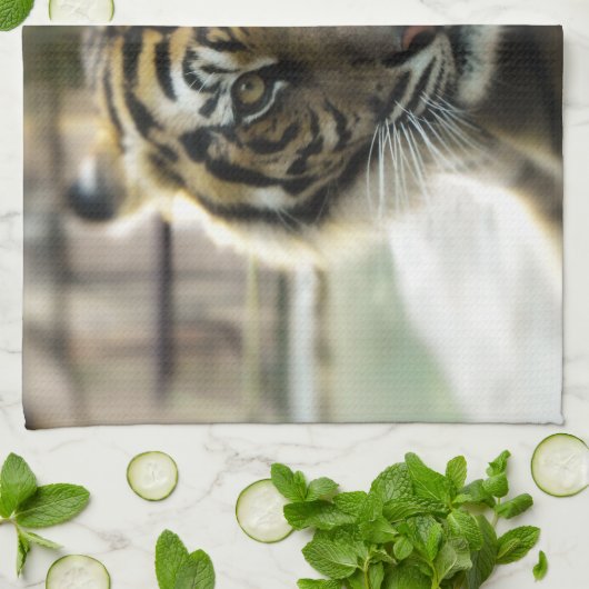 Bengalisch Tiger Geschirrtuch (Gefaltet)