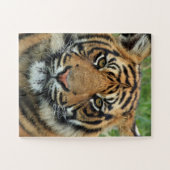 BENGALISCH TIGER JIGSAW PUZZLE (Horizontal)