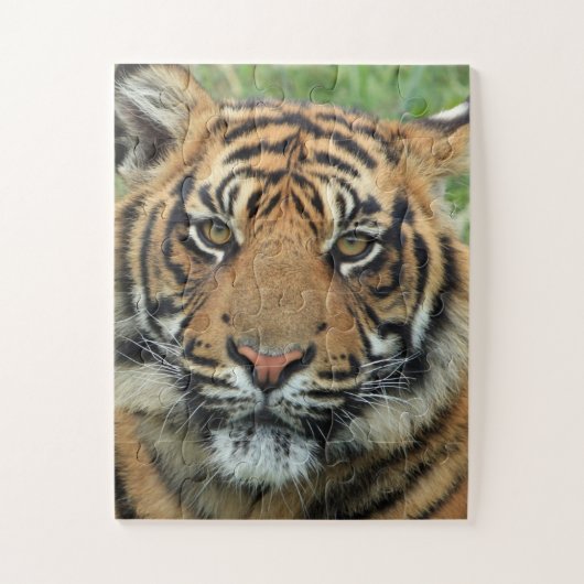 BENGALISCH TIGER JIGSAW PUZZLE (Vertikal)