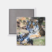 Bengalisch Tiger Magnet (Vorderseite/Rückseite)