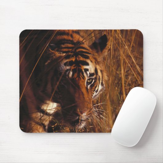 Bengalisch Tiger Mousepad (Mit Mouse)