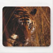 Bengalisch Tiger Mousepad (Vorne)
