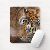 Bengalisch Tiger Mousepad (Mit Mouse)