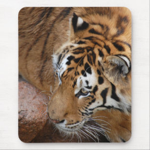 Bengalisch Tiger Mousepad