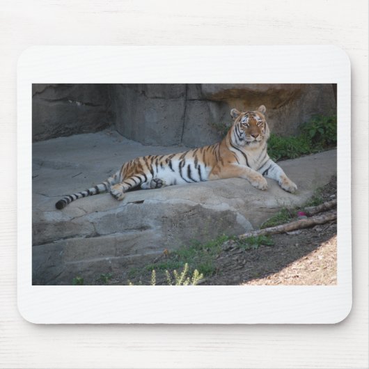 Bengalisch Tiger Mousepad (Vorne)