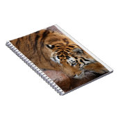Bengalisch Tiger Notizblock (Rechte Seite)