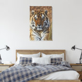 Bengalisch Tiger, Panthera tigris, Zoo von Louisvi Leinwanddruck (Insitu (Schlafzimmer))