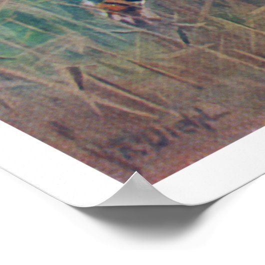 Bengalisch Tiger Poster (Ecke)