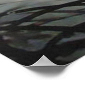 Bengalisch Tiger Poster (Ecke)