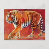 Bengalisch Tiger Postkarte (Vorderseite)