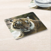 Bengalisch Tiger Rechteckiger Pappuntersetzer (angewinkelt)