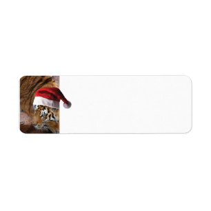 Bengalisch Tiger Santa Claus