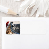 Bengalisch Tiger Santa Claus (Insitu)