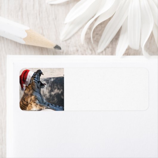 Bengalisch Tiger Santa Claus (Insitu)