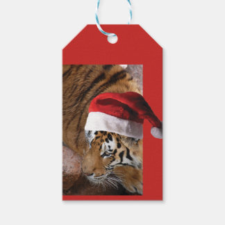 Bengalisch Tiger Santa Claus Geschenkanhänger