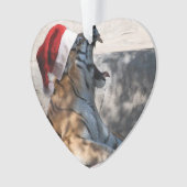 Bengalisch Tiger Santa Claus Ornament (Vorderseite)