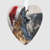 Bengalisch Tiger Santa Claus Ornament (Vorderseite)