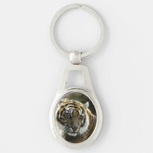 Bengalisch Tiger Schlüsselanhänger (Vorderseite)
