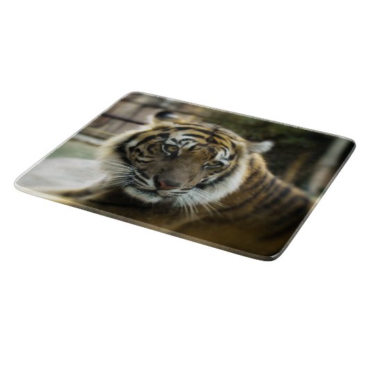 Bengalisch Tiger Schneidebrett (Ecke)