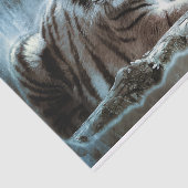 Bengalisch Tiger Seidenpapier (Ausschnitt)