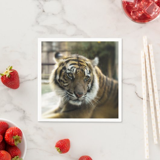 Bengalisch Tiger Serviette (Beispiel)