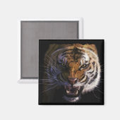 Bengalisch Tiger Wildlife Big Cat Lover Foto Magnet (Vorderseite/Rückseite)