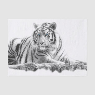 Bengalisch White Tiger Seidenpapier