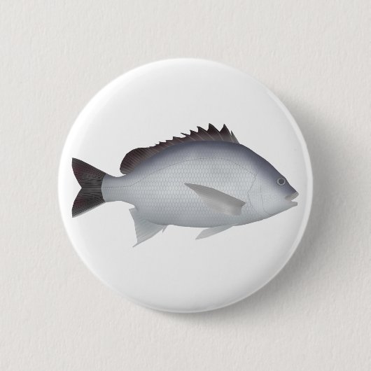 Bengalisch Yellowfin Seabream Button (Vorderseite)