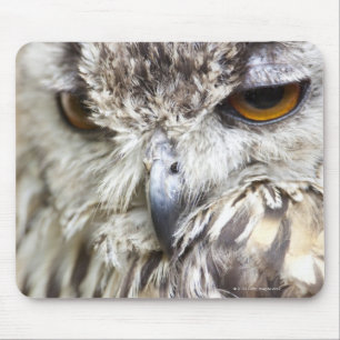 Bengalische Adler-Eule Mousepad