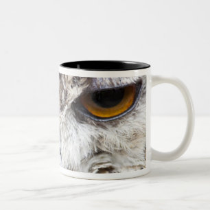Bengalische Adler-Eule Zweifarbige Tasse