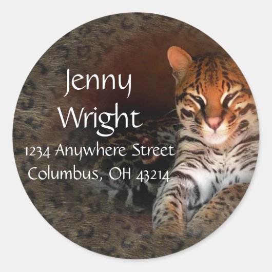 Bengalische Chat Round-Rücksendeadressen-Aufkleber Runder Aufkleber (Vorderseite)