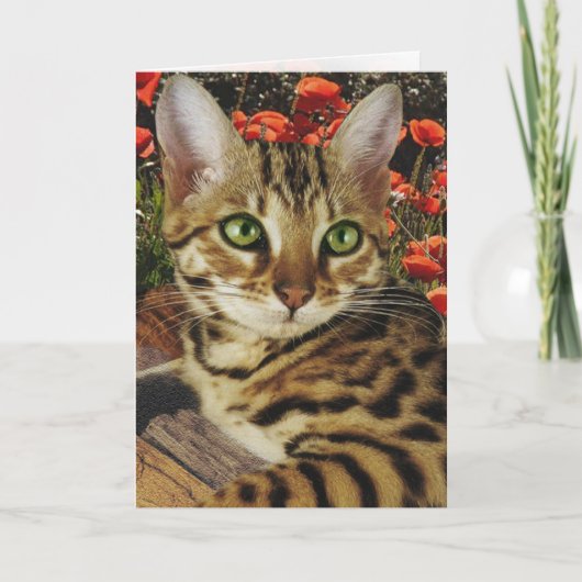 Bengalische Karten und Sticker (Vorderseite)