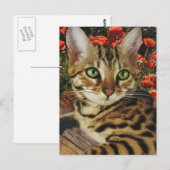 Bengalische Karten und Sticker (Vorne/Hinten)