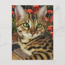 Bengalische Karten und Sticker