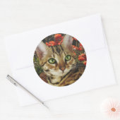 Bengalische Karten und Sticker (Umschlag)