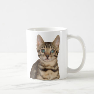 Bengalische Kätzchen-Tasse Kaffeetasse