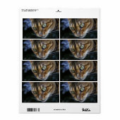 Bengalische Katze (Vorne)