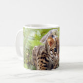 Bengalische Katze 004 Kaffeetasse (Vorderseite Links)