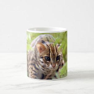 Bengalische Katze 004 Kaffeetasse