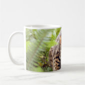 Bengalische Katze 004 Kaffeetasse (Links)
