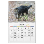 Bengalische Katze 022, Bärn-Katzen und bengalische Kalender (Mär 2027)