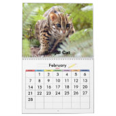 Bengalische Katze 022, Bärn-Katzen und bengalische Kalender (Feb 2027)