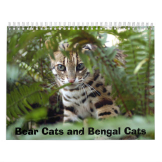 Bengalische Katze 022, Bärn-Katzen und bengalische Kalender