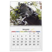 Bengalische Katze 022, Bärn-Katzen und bengalische Kalender (Jan 2026)