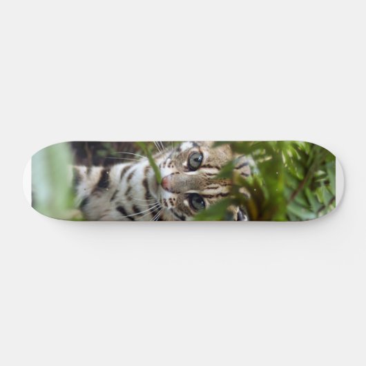 Bengalische Katze 022 Skateboard (Horizontal)