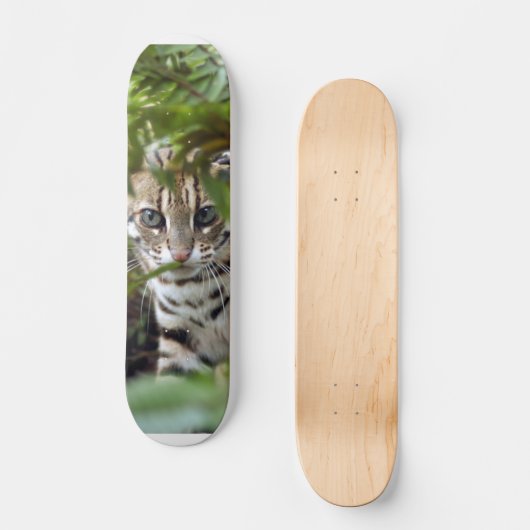 Bengalische Katze 022 Skateboard (Vorderseite)